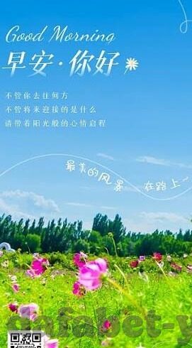 皇冠足球比分足-皇冠足球比分足，绿茵场上的数字交响曲