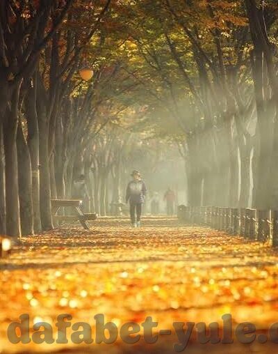 足球比分大师网-足球比分大师网，球迷的智慧伙伴与数据宝藏库