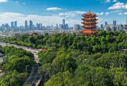 足球 比分多个预测-足球比分预测新视角，多维度分析下的精准预测之道
