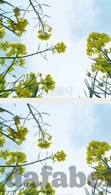 足球比赛比分直播-足球比赛比分直播，实时激情，触手可及