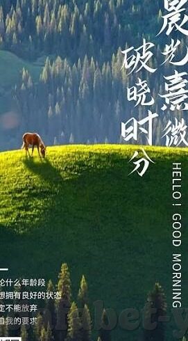 足球比赛比分最高-绿茵场上的数字狂欢，探寻足球比赛比分最高的传奇之战