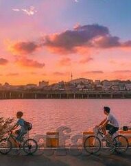 足球竞赛比分多少-揭秘足球竞赛比分，数字背后的激情与策略